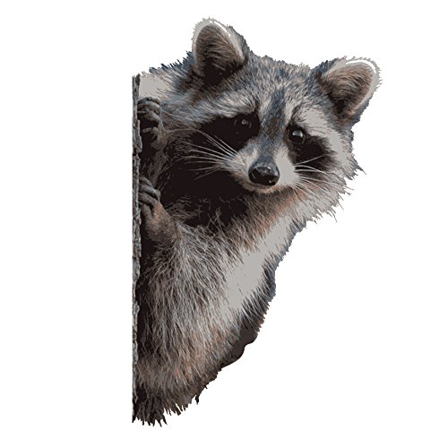 Raccoon Peering Around Wall Decal - 7" wide x 11" tall