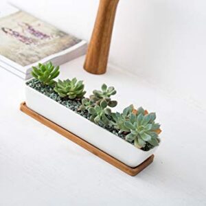 Kipokalor 11.1x2.36x1.77inch Long Rectangular Modern Minimalist White Ceramic Succulent Planter Pot with Saucer for Office,Desk,Window.