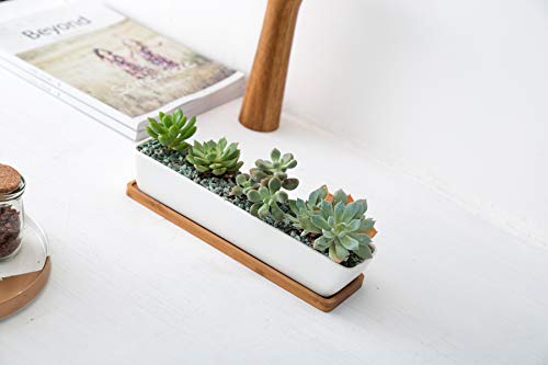 Kipokalor 11.1x2.36x1.77inch Long Rectangular Modern Minimalist White Ceramic Succulent Planter Pot with Saucer for Office,Desk,Window.