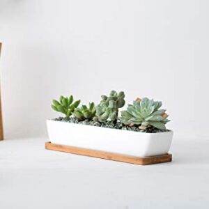 Kipokalor 11.1x2.36x1.77inch Long Rectangular Modern Minimalist White Ceramic Succulent Planter Pot with Saucer for Office,Desk,Window.