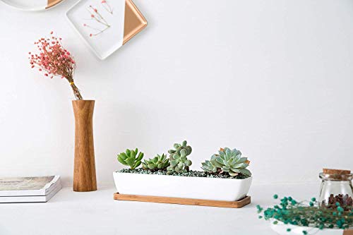 Kipokalor 11.1x2.36x1.77inch Long Rectangular Modern Minimalist White Ceramic Succulent Planter Pot with Saucer for Office,Desk,Window.