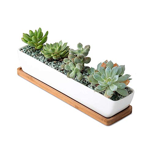 Kipokalor 11.1x2.36x1.77inch Long Rectangular Modern Minimalist White Ceramic Succulent Planter Pot with Saucer for Office,Desk,Window.