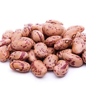 Pinto Bean Plant Seeds, 30+ Heirloom Seeds Per Packet, (Isla's Garden Seeds), Non GMO Seeds, 90% Germination Rate, Botanical Name: Phaseolus vulgaris