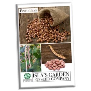 Pinto Bean Plant Seeds, 30+ Heirloom Seeds Per Packet, (Isla's Garden Seeds), Non GMO Seeds, 90% Germination Rate, Botanical Name: Phaseolus vulgaris