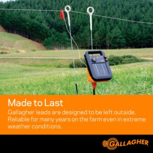 Gallagher S10 Leadset | Energizer Output Lead Set | Electric Fence Energizer Accessory with Red & Green Alligator Clips | Connect to Energizers, Power Supplies & Earthing Systems | 70" / 1.8m Length