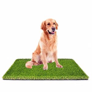 mtbro artificial grass for dogs, 40in x 28in x 1.5in dog potty grass, professional dog pee grass, outdoor grass pad for dogs and grass for dogs potty.