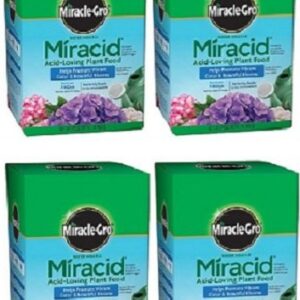 Miracid 30-10-10 Formula, 1-Lb.