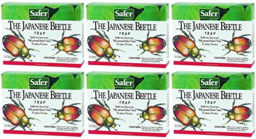 Japanese Beetle Trap