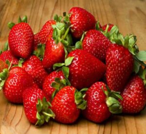 9greenbox 20 ozark beauty strawberry plants - non gmo heirloom fruit - bare root