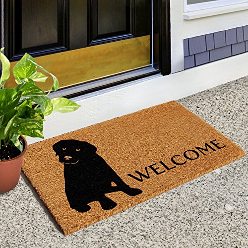 Calloway Mills 102961729 Labrador Doormat, 17" x 29", Natural/Black