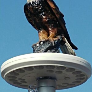 Eagle on Display Flagpole Topper Finial Ball - Hand Painted USA Realistic Lifelike