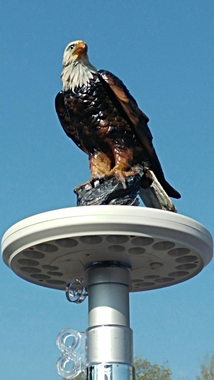 Eagle on Display Flagpole Topper Finial Ball - Hand Painted USA Realistic Lifelike