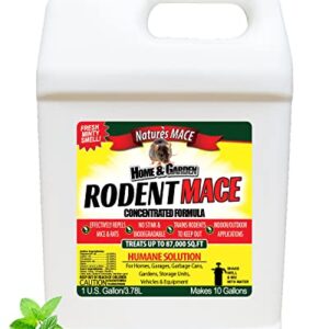 Nature’s MACE Rodent MACE 1 Gal Concentrate/Covers 87,000 Sq. Ft. / Repel Mice & Rats/Keep mice, Rats & Rodents Out of Home, Garage, attic, and Crawl Space/Safe to use Around Children & Pets