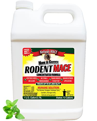 Nature’s MACE Rodent MACE 1 Gal Concentrate/Covers 87,000 Sq. Ft. / Repel Mice & Rats/Keep mice, Rats & Rodents Out of Home, Garage, attic, and Crawl Space/Safe to use Around Children & Pets