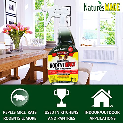 Nature’s MACE Rodent MACE 1 Gal Concentrate/Covers 87,000 Sq. Ft. / Repel Mice & Rats/Keep mice, Rats & Rodents Out of Home, Garage, attic, and Crawl Space/Safe to use Around Children & Pets
