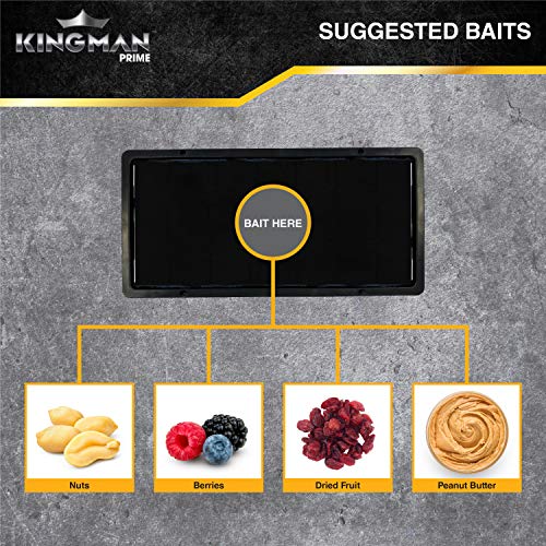 Kingman Prime Rat Mouse Rodent Pest Glue Trap (Large Size) Tray Heavy Duty (1 Pack/ 2 Traps) with Connectors