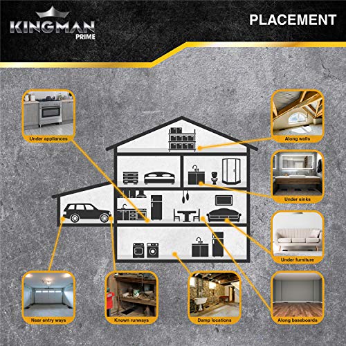 Kingman Prime Rat Mouse Rodent Pest Glue Trap (Large Size) Tray Heavy Duty (1 Pack/ 2 Traps) with Connectors