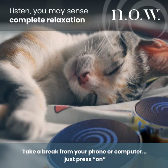 n.o.w. Tone Therapy. Reduce Stress and Anxiety Now. Feel Embodied Awareness. Intentional 3 Minute Session is How n.o.w. Tone Therapy Healing Works: It’s A Quick Reset to Your True Self, Present, Now.