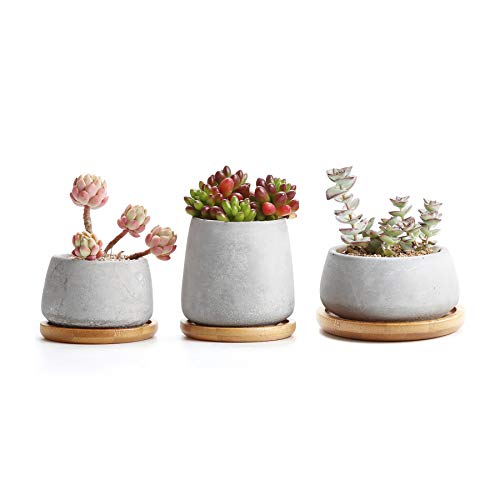 T4U 3 Inch - 4.25 Inch Cement Succulent Cactus Pot, Concrete Planter Pot Container Window Box, Small Clay Pot for Plants Flowers with Drainage Bamboo Tray for Home Decor, Set of 3(Grey)