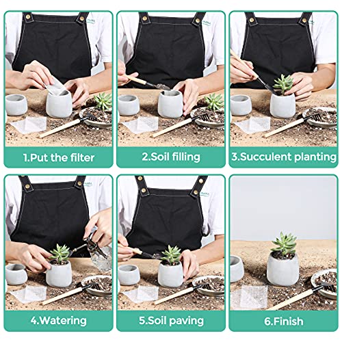 T4U 3 Inch - 4.25 Inch Cement Succulent Cactus Pot, Concrete Planter Pot Container Window Box, Small Clay Pot for Plants Flowers with Drainage Bamboo Tray for Home Decor, Set of 3(Grey)