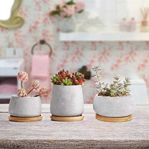 T4U 3 Inch - 4.25 Inch Cement Succulent Cactus Pot, Concrete Planter Pot Container Window Box, Small Clay Pot for Plants Flowers with Drainage Bamboo Tray for Home Decor, Set of 3(Grey)