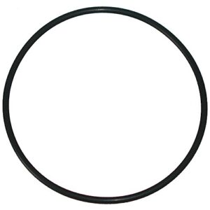 KleenWater Replacement O-Rings Compatible with Cuno Aqua-Pure AP801-AP802, KemFlo 5000 & 10000, Keystone CG10, Set of 2