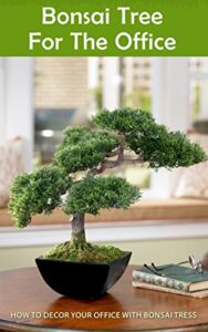 bonsai tree for the office: how to decor your office with bonsai tress