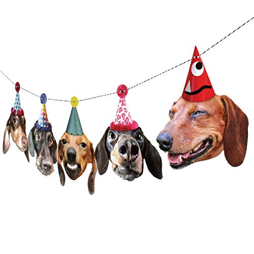 Dachshunds Garland, dog birthday party decoration banner, Made in USA, Best Quality