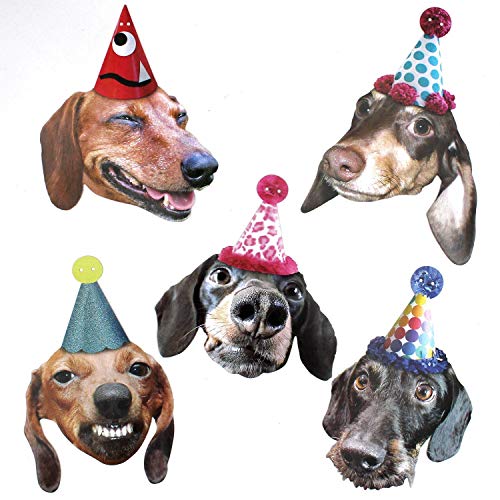 Dachshunds Garland, dog birthday party decoration banner, Made in USA, Best Quality