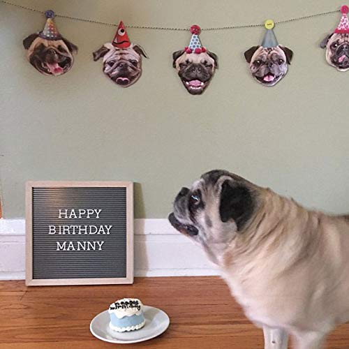 Pugs Garland, dog birthday party decoration banner, Made in USA, Best Quality