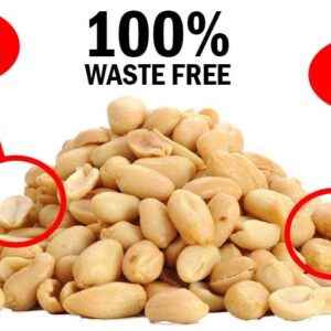 Backyard Seeds Shelled Peanut Pickouts for Woodpeckers, Birds, Squirrels, Wildlife (10 Pounds)