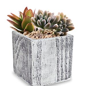 Dahlia Wood Grain Like Handmade Concrete Succulent Planter/Plant Pot/Flower Pot/Bonsai Pot, Cube