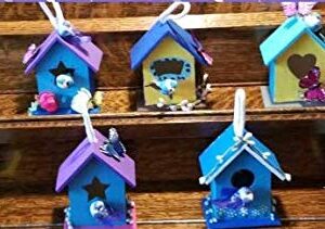 Oojami Design Your Own Wooden Birdhouses 12 Bird House Bulk (Modern)