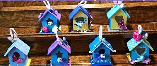 Oojami Design Your Own Wooden Birdhouses 12 Bird House Bulk (Modern)