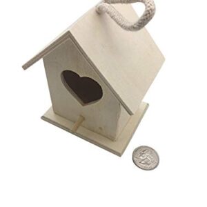 Oojami Design Your Own Wooden Birdhouses 12 Bird House Bulk (Modern)