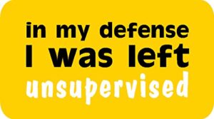 in my defense i was left unsupervised, i make decals®, lunch box, tool box, phone, hard hat, vinyl, decal car sticker