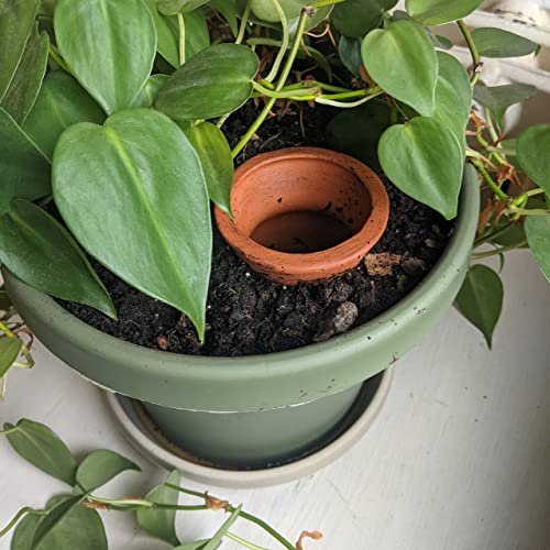 Clay Olla - Pint Sized - Ideal for a 8"-12" Pot