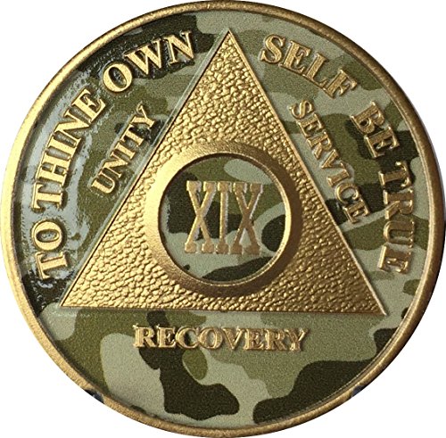 19 Year AA Medallion Camo Gold Plated Anniversary Chip Camouflage Color