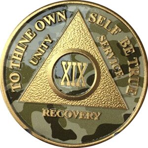 19 Year AA Medallion Camo Gold Plated Anniversary Chip Camouflage Color