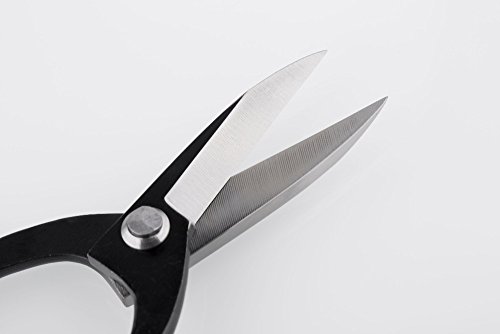 Beginner Bonsai Tools Root Pruning Scissors 190 (7.48") Carbon Steel Standard Quality For Beginner Bonsai Peoples