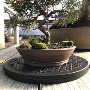mighty mini bonsai tree turntable 10" base stainless steel high quality low cost 200-pound capacity 360-degree rotation allows easy pruning or great bonsai tree displays