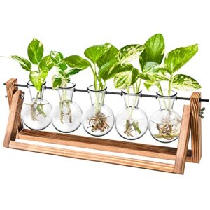 ivolador desktop glass bulb plant terrarium with retro solid wooden stand and metal swivel holder for hydroponics plants home garden wedding decor (5 bulbs)