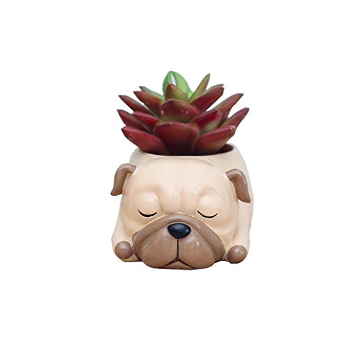 Youfui Home Decor Pot, Animal Succulent Planter Flowerpot for Home Office Desk Decoration (Sleep Pug)