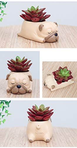 Youfui Home Decor Pot, Animal Succulent Planter Flowerpot for Home Office Desk Decoration (Sleep Pug)