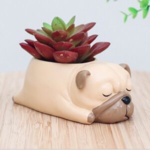 Youfui Home Decor Pot, Animal Succulent Planter Flowerpot for Home Office Desk Decoration (Sleep Pug)