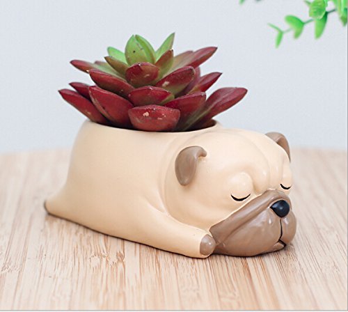 Youfui Home Decor Pot, Animal Succulent Planter Flowerpot for Home Office Desk Decoration (Sleep Pug)