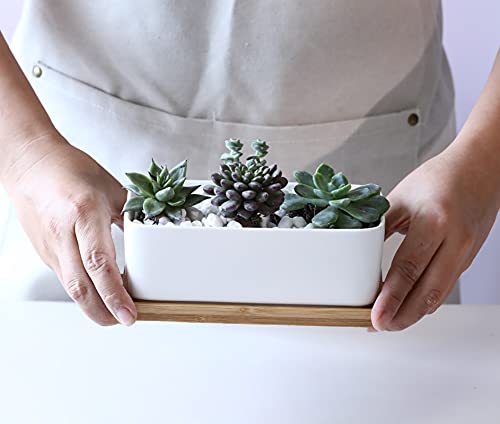 LANKER 6.5 Inch Rectangle White Ceramic Succulent Planter Pot Decorative Cactus Plant Pot Flower Container with Bamboo Tray (Rectangle 6.5 Inch)