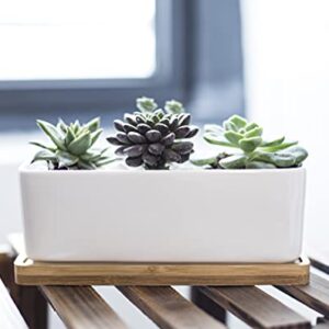 LANKER 6.5 Inch Rectangle White Ceramic Succulent Planter Pot Decorative Cactus Plant Pot Flower Container with Bamboo Tray (Rectangle 6.5 Inch)