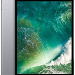 Apple iPad Pro (10.5-inch, Wi-Fi + Cellular, 512GB) - Space Gray (Previous Model)