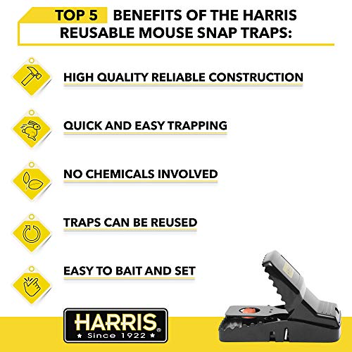 Harris Reusable Mouse Snap Traps (6-Pack)